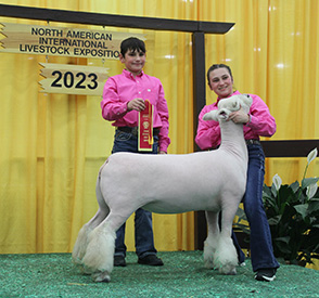 Rocky Top Winners